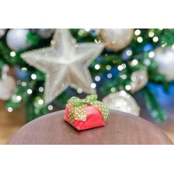 Papel Crepom e Celofane e Fita Poá